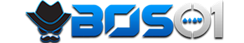 vs-logo-img